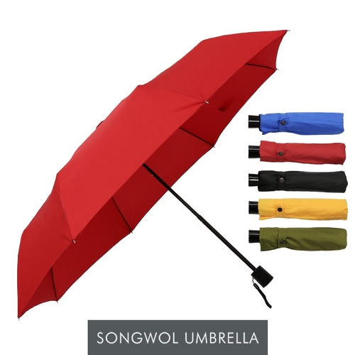 SW 3단 컬러무지 우산