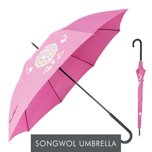 SW 장컬러매직60 우산